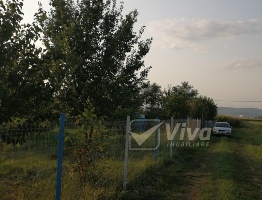 Viva Imobiliare - Teren intravilan 1500 mp - Aroneanu - intre case